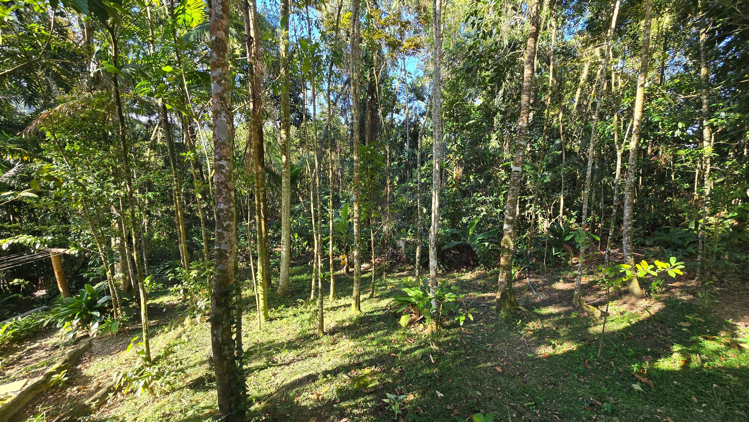 Casa Venda Condominio Tijucopava Guaruja