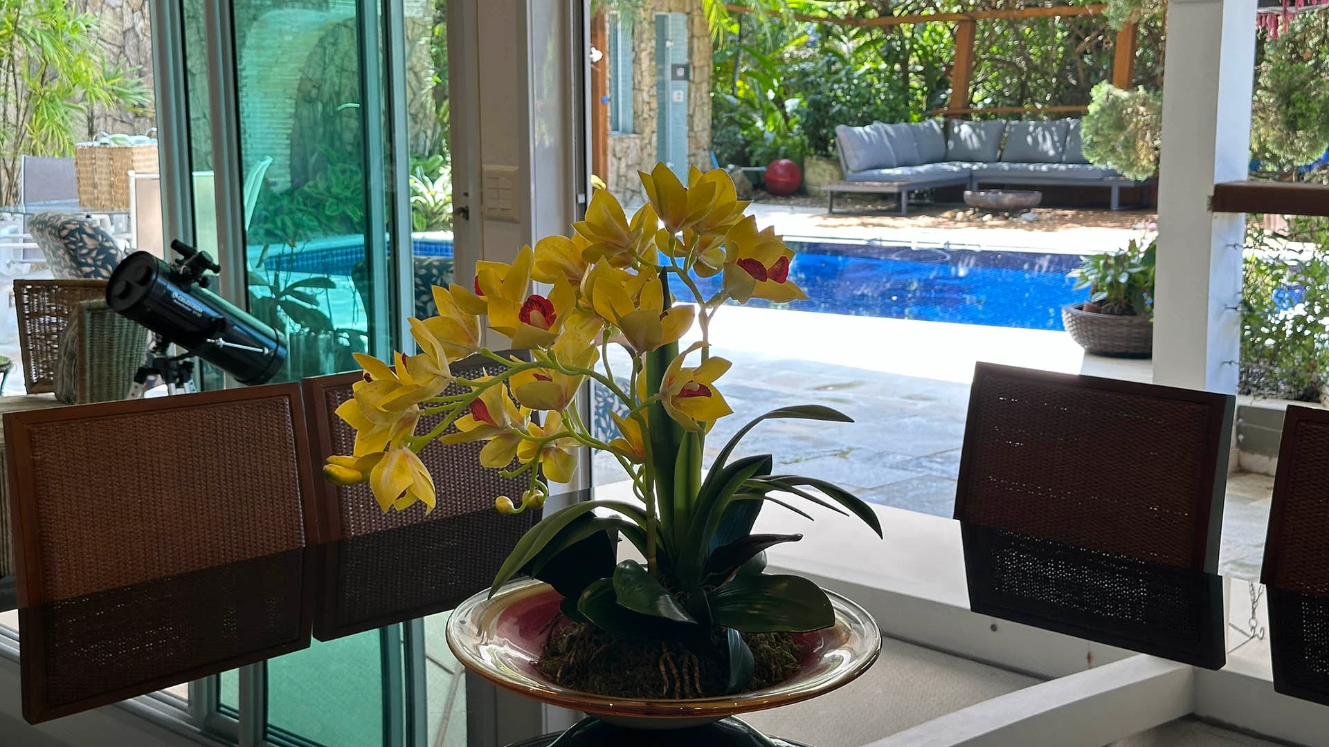 Orquídea com flores amarelas decorativa na sala de jantar da casa de luxo