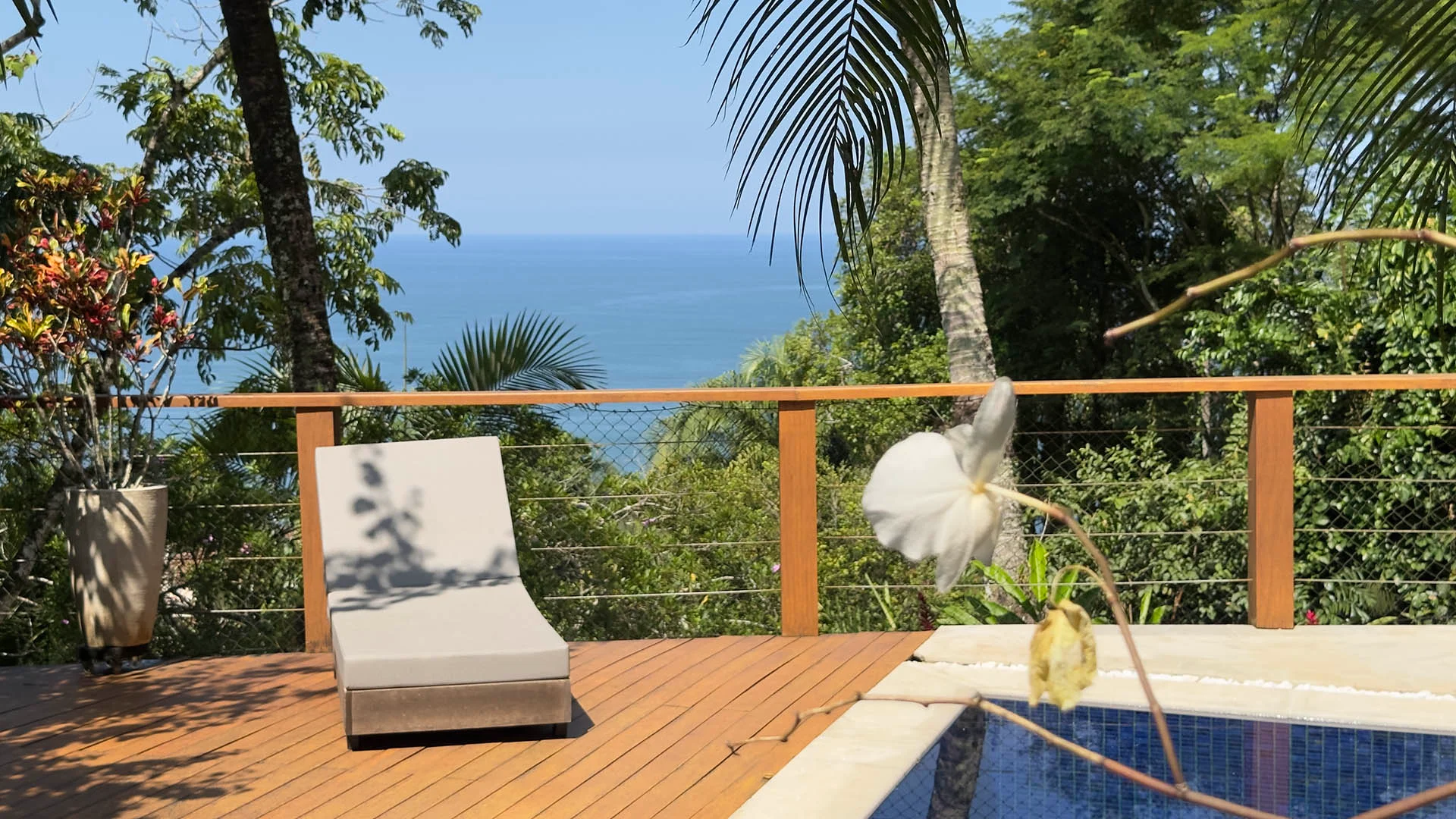 Orquídea e vista para o mar no deck da casa de alto padrão