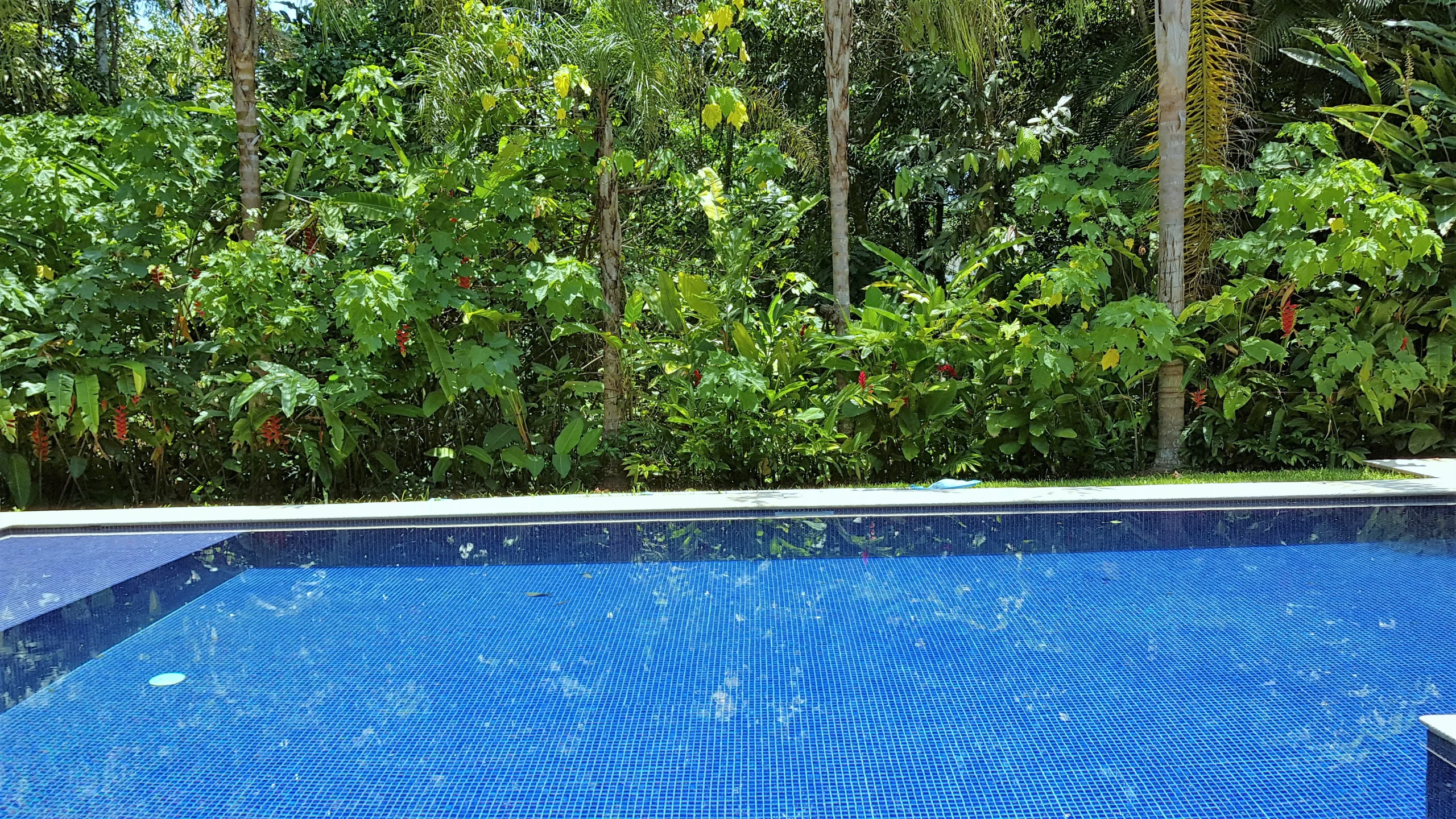 Casa no Condomínio Iporanga Guarujá — Villa 424 — foto 13