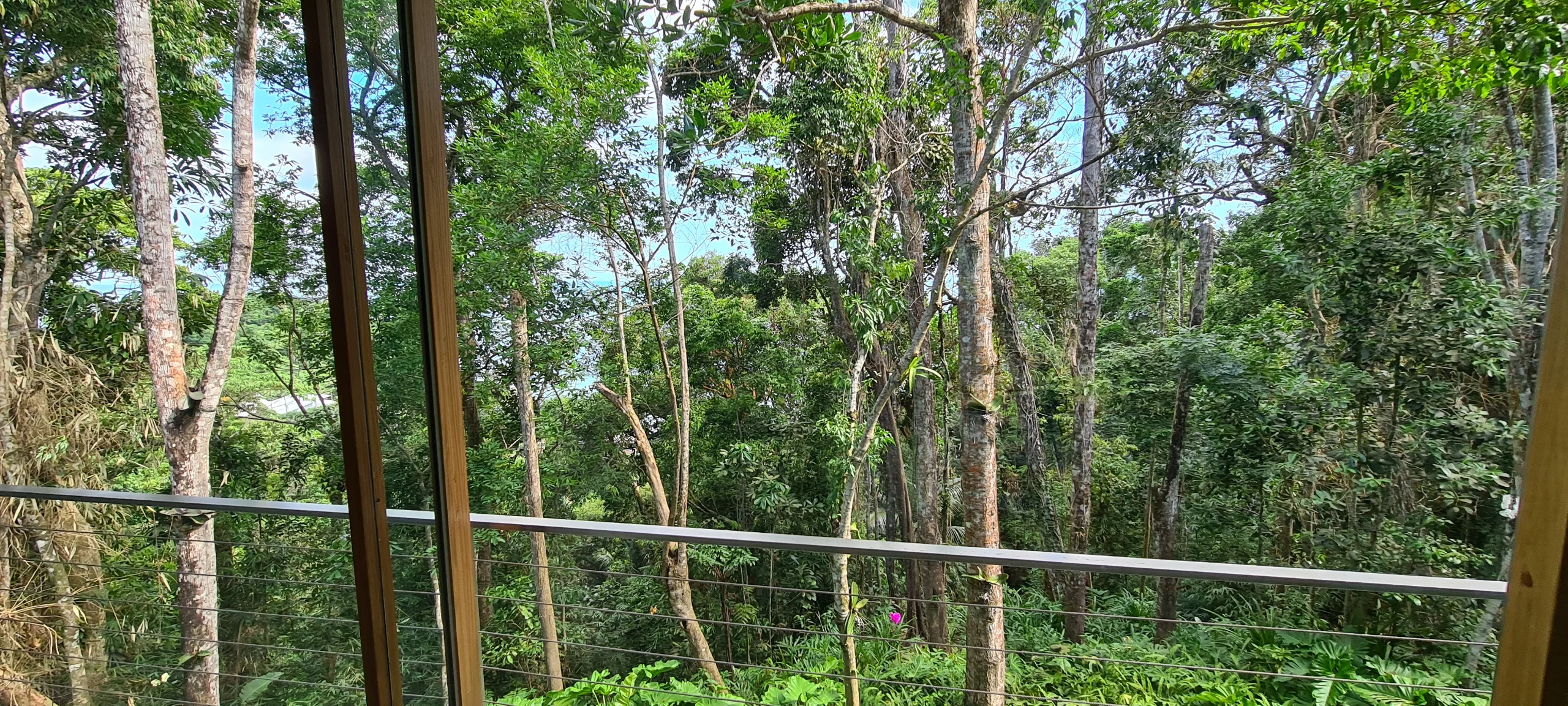 Locação Vista mar Condominio Iporanga Guarujá