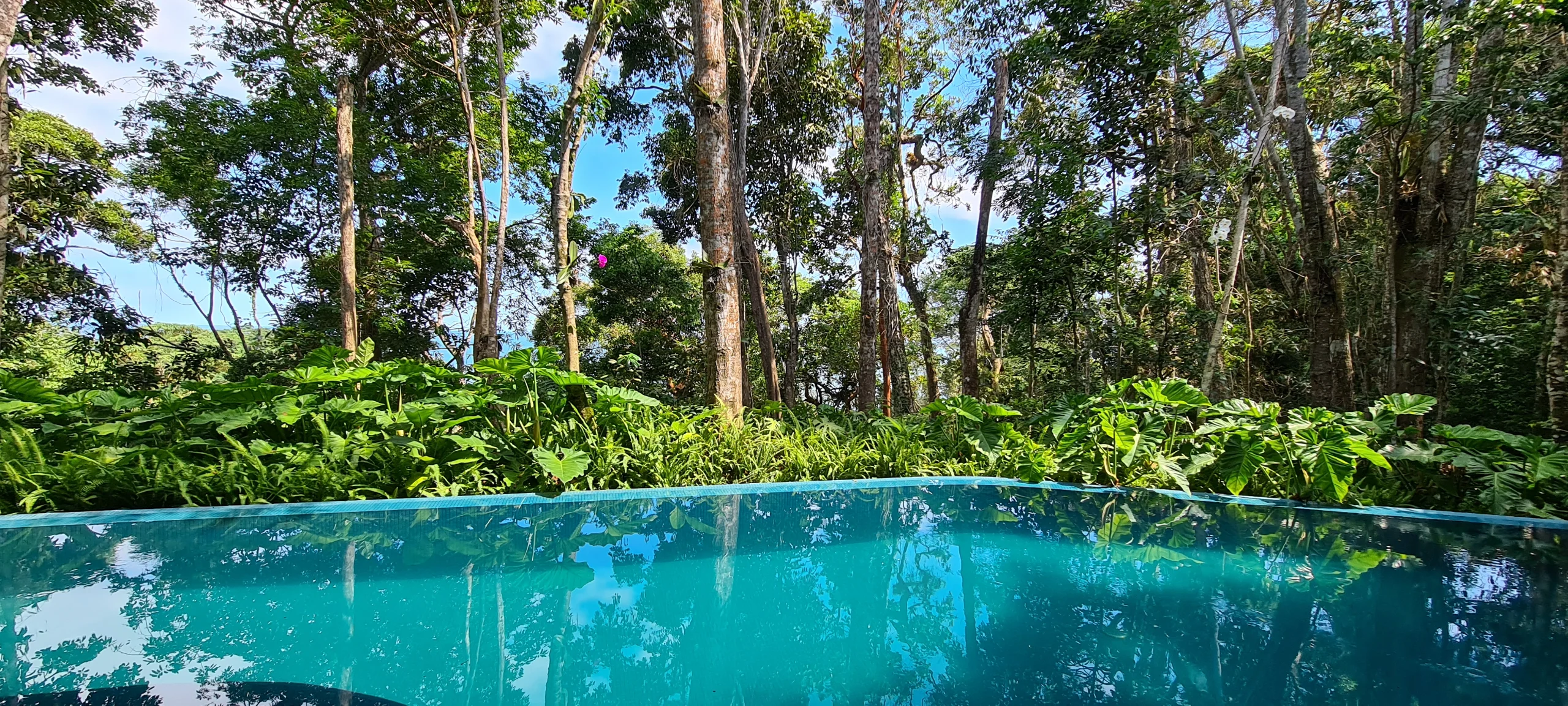 Locação Vista mar Condominio Iporanga Guarujá