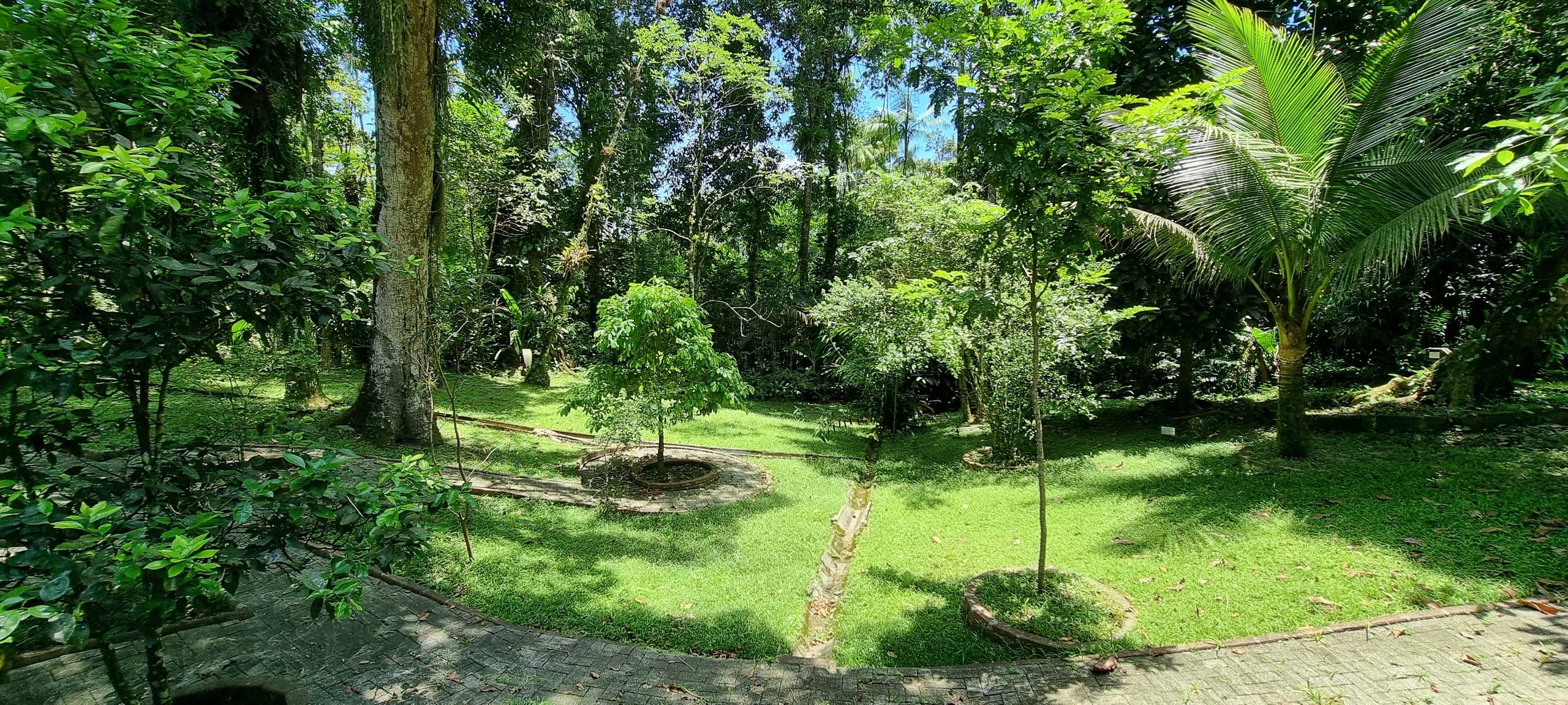 Imoveis Venda meio Mato do Condominio São Pedro Guaruja