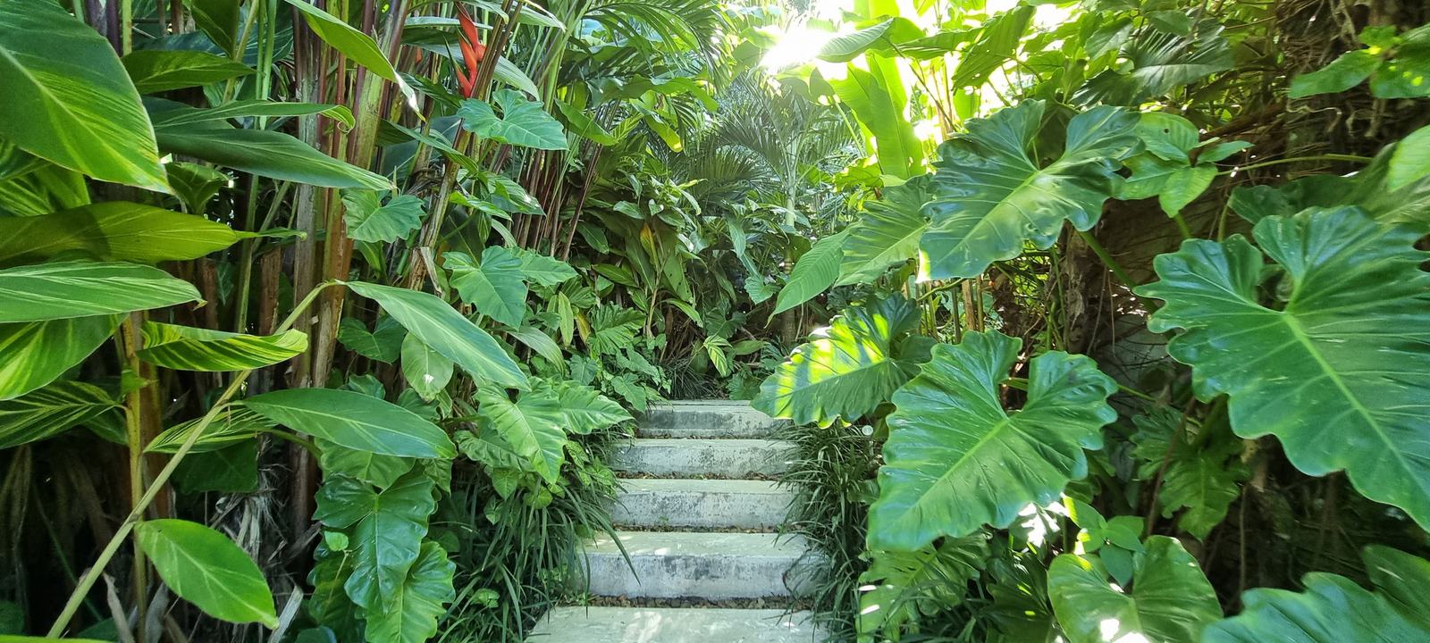 Área de serviço 3 — Tijucopava, Guarujá, à venda, Casa