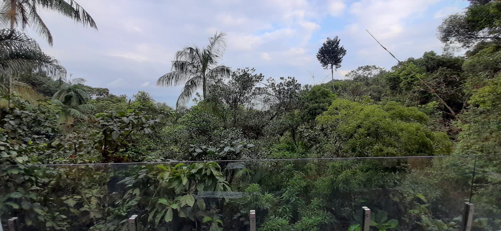 Área externa 14 — Tijucopava, Guarujá, para locação, Casa