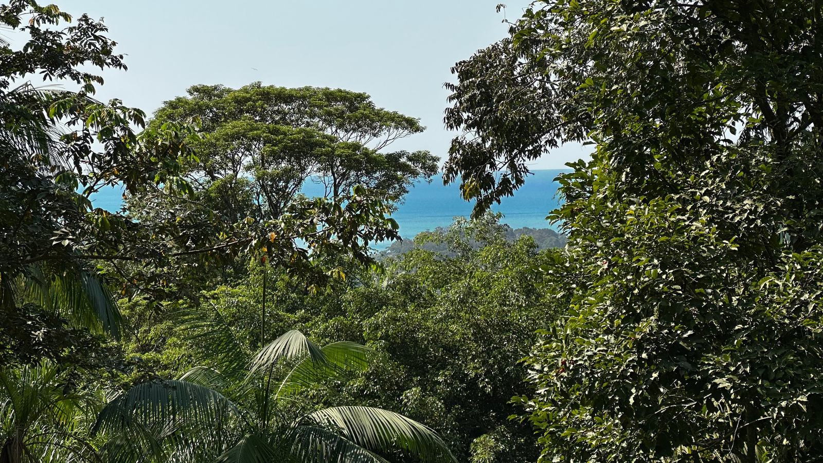 Área externa 14 — São Pedro, Guarujá, à venda e para locação, Casa