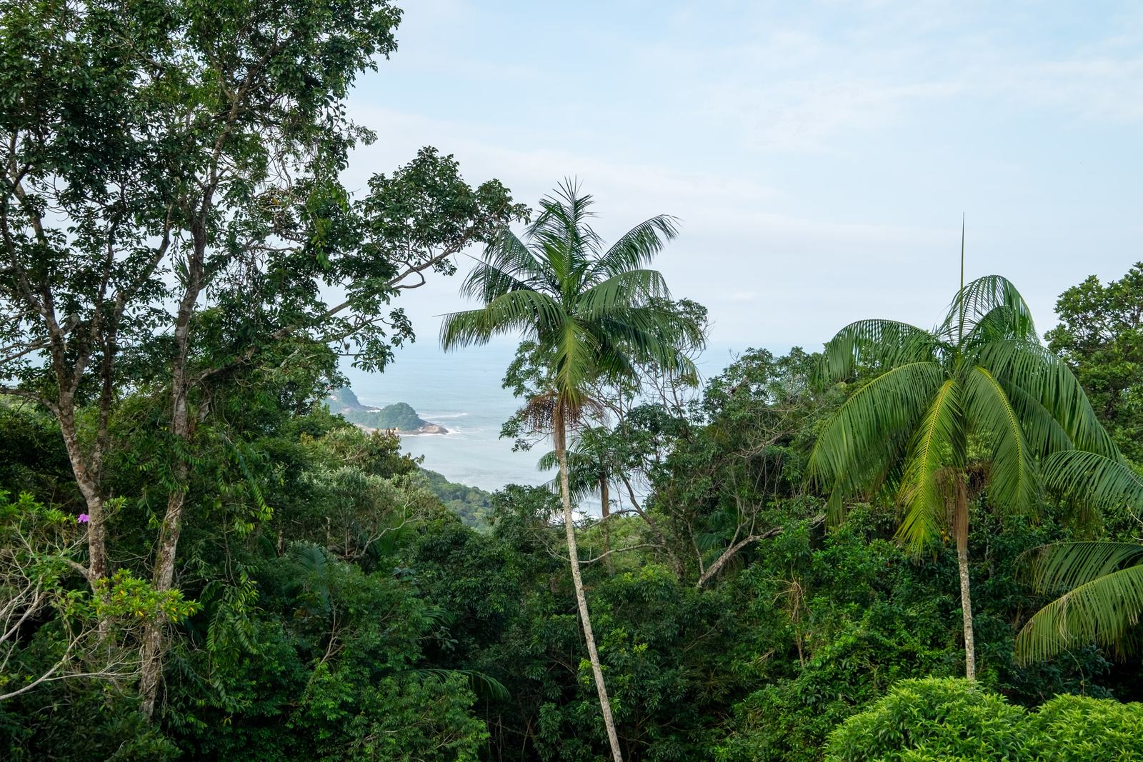 Ambiente interno 23 — Tijucopava, Guarujá, à venda, Casa