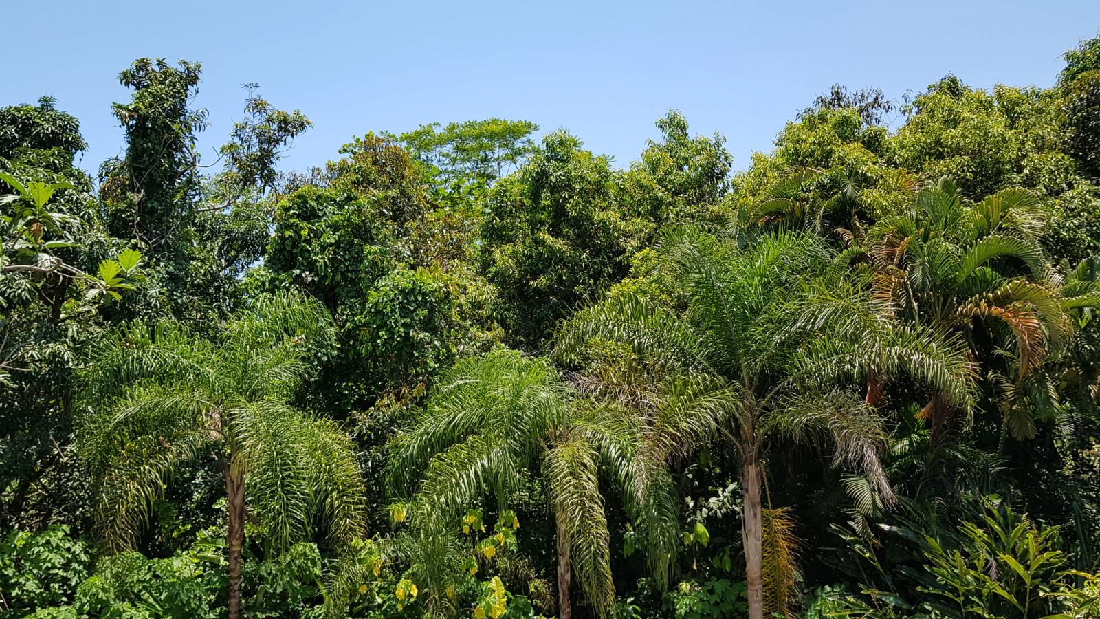 Casa no Condomínio Iporanga Guarujá — Villa 424 — foto 14