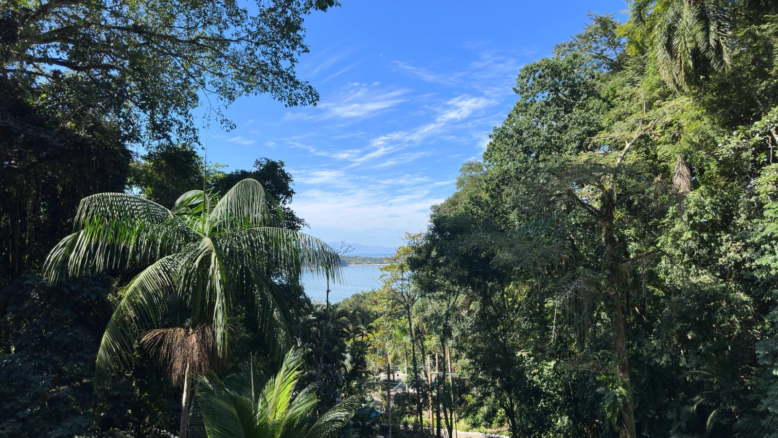 Villa 207 - Aluguel Temporada - Vista panorâmica da Mata Atlântica e do mar a partir  em Tijucopava