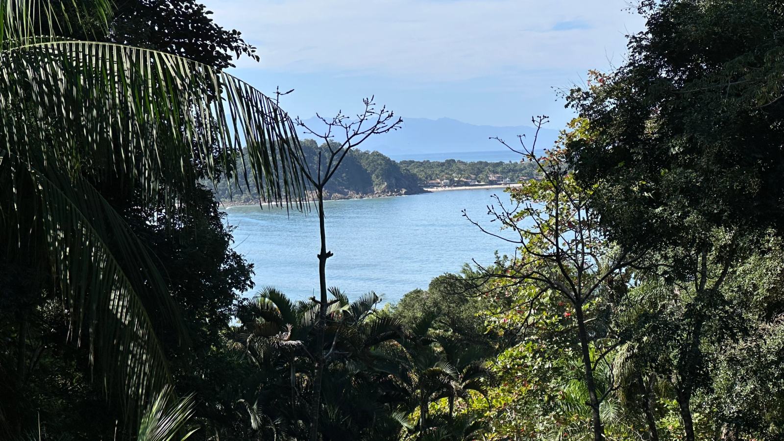 Villa 207 - Aluguel Temporada - Vista para o mar entre a vegetação preservada  no Condomínio Tijucopava