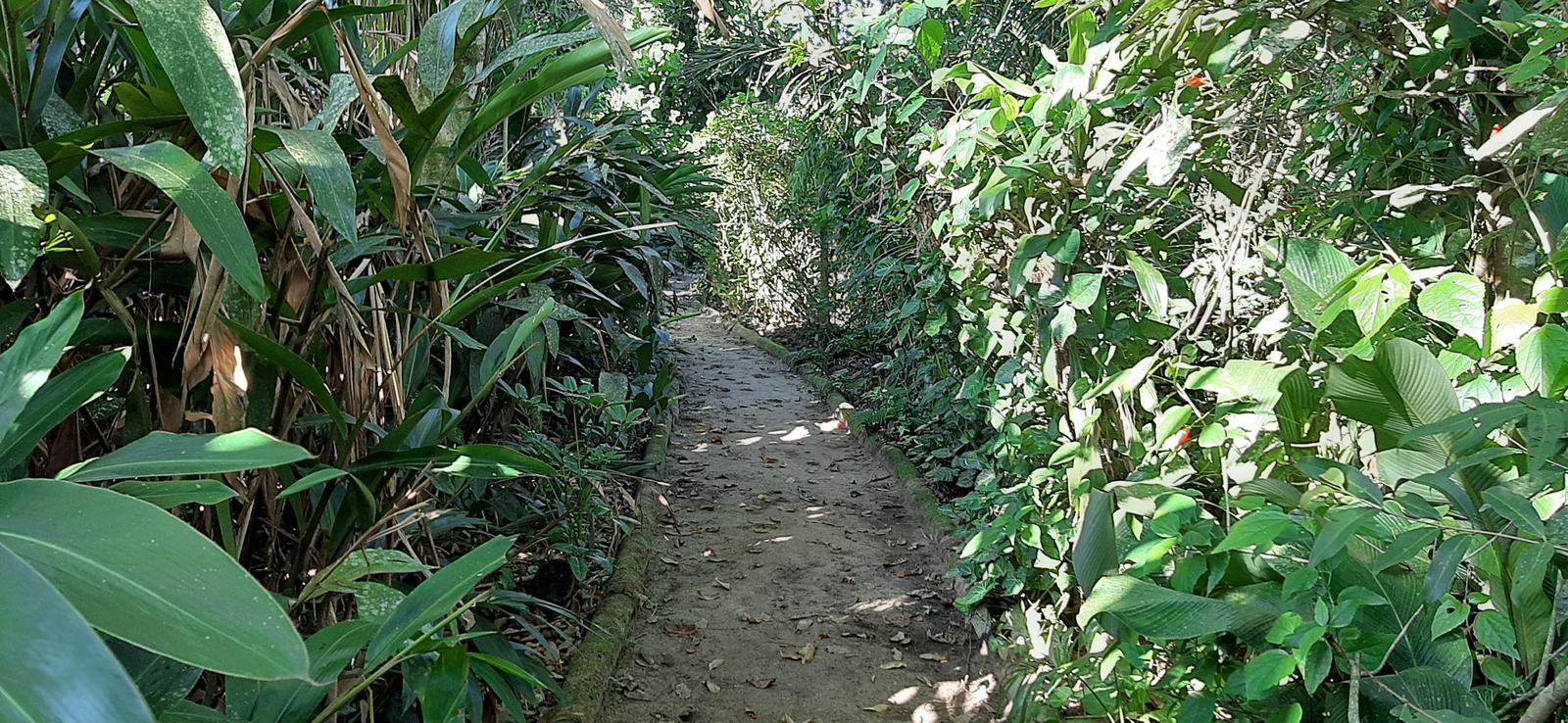 Área externa 4 — Iporanga, Guarujá, à venda, Casa