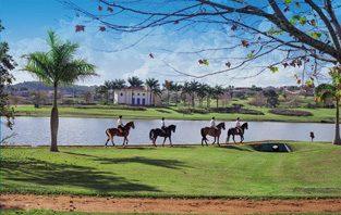 Cavalo na Quinta da Baroneza